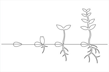 One continuous line drawing Plant growth process 