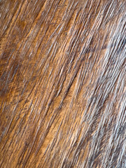 Dark background with rustic wood texture