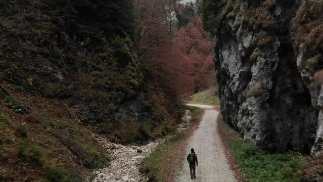 Romania, Romanian Carpathians - high rock walls of the Zarnesti Gorge and a wandering tourist