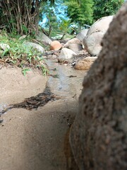 river in the forest