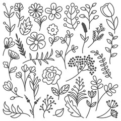 hand drawn illustration of flowers and leaves
