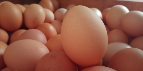Detailed view of one egg in front of other chicken eggs. Detail close up of brown one raw chicken egg.