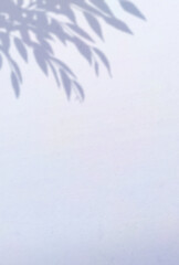 背景イラスト_木漏れ日