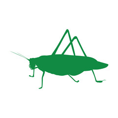 katydid grasshopper icon