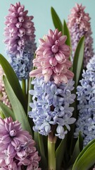 Fototapeta premium aesthetic image of spring with hyacinths in pastel col background