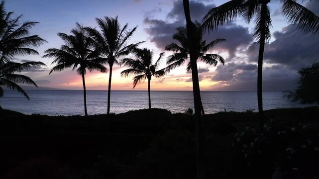 Beautiful Tropical Beach Resort; Drone Ascending Over Palm Trees Approaching The Ocean Horizon.