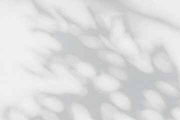 Obraz premium Abstract leaf shadow and light blurred background. Natural leaves tree branch shadows and sunlight dappled on white concrete wall texture for background wallpaper and design, shadow overlay effect