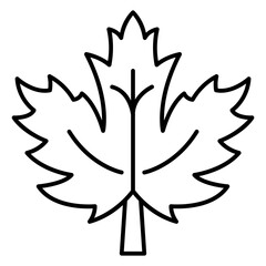 Maple leaf icon symbol