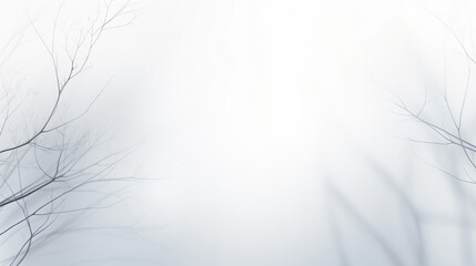 Fototapeta premium A white and gray landscape with bare tree branches casting soft shadows through the mist