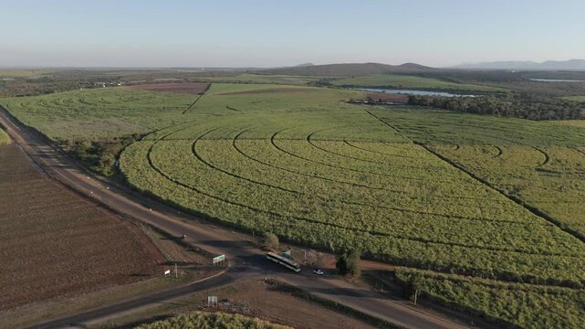 A slow-rotating drone unveils a farming scene at a busy intersection. A lush sugarcane field patchwork quilt contrasts with the green rows of a pepper farm. Mpumalanga, South Africa.