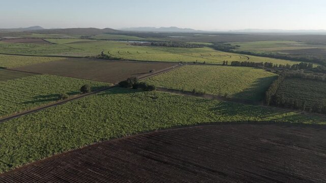 Drone view of Sugarcane farms in a patchwork quilt, divided by a main road with vehicles driving towards a T- junction. Mpumalanga, South Africa.