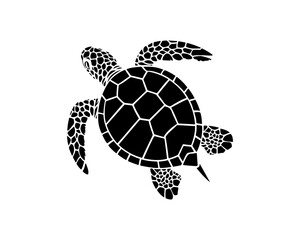 graphic sea turtle,vector illustration of sea turtle,vector of turtle design on a white background,save a turtle.