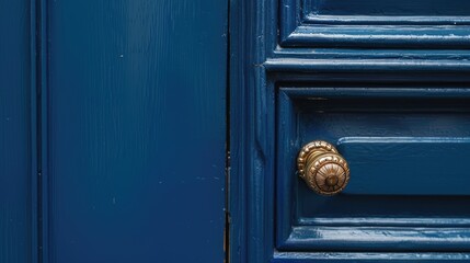 Retro design shut navy door with knob