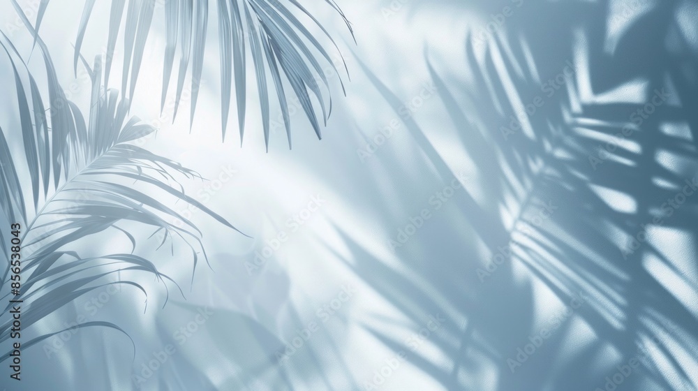 Poster minimal abstract light blue background for product presentation. shadow and light from windows and s