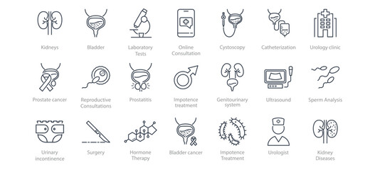 Set of line icons urology clinic. Kidneys, bladder,catheter, cystoscope, hormones, testosterone, impotence, spermogram, prostatitis, surgery, bacteria, urologist, urinary incontinence, fertilization