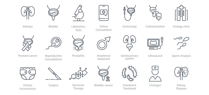 Set of line icons urology clinic. Kidneys, bladder,catheter, cystoscope, hormones, testosterone, impotence, spermogram, prostatitis, surgery, bacteria, urologist, urinary incontinence, fertilization