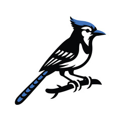 Stylized Blue Jay Bird Vector Illustration - Vibrant and Detailed Blue Jay Artwork with Intricate Feather Design and Bold Colors