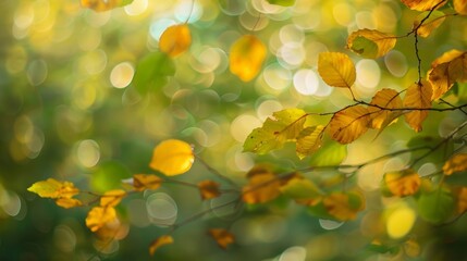 Obraz premium Blurred sight of g leaves rustling in the wind