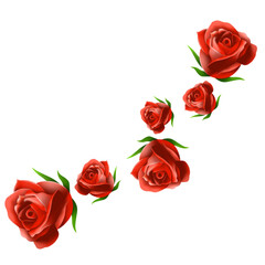 Fototapeta premium The red rose png image for love or wedding concept.