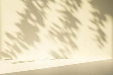Wall interior autumn background, studio, and backdrops show products. with shadow color beige background for text insertion and presentation of product	