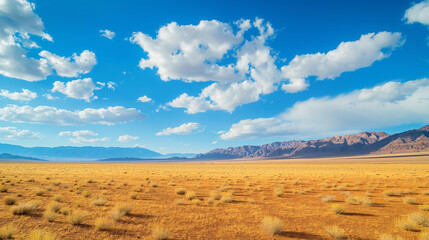 Fototapeta premium A stunning landscape of the desert with a wide expanse of golden sand and clear blue skies.