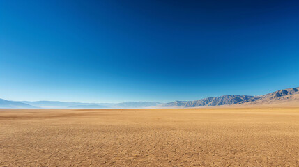Fototapeta premium A stunning landscape of the desert with a wide expanse of golden sand and clear blue skies.
