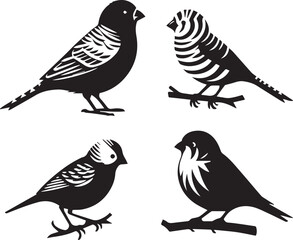 Birds Four set vector illustration black and white background.