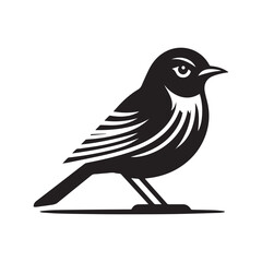 Bird black silhouette vector illustration design