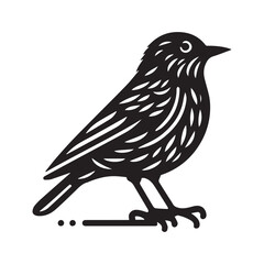 Bird black silhouette vector illustration design