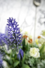 Blue flower in the field