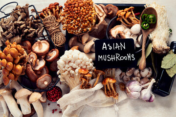 Tasty raw mushrooms collection. Healthy food concept
