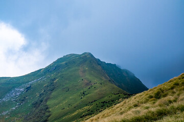 trekking route to Rudranath temple in Uttarakhand 