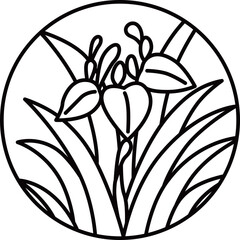 線画円形シンプル花札　菖蒲　杜若　皐月　5月　菖蒲のカス