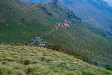 trekking route to Rudranath temple in Uttarakhand 