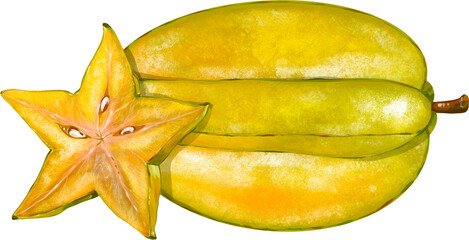 Star Fruit Illustration