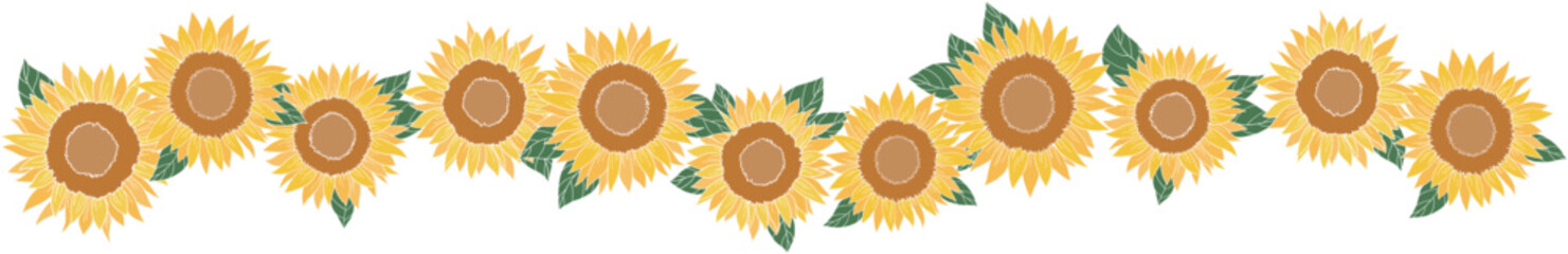 Fototapeta premium Summer season yellow flowers, Sunflower vector illustration.
