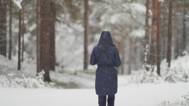 A person dressed in a dark blue parka walks through the pine forest during a snowfall.