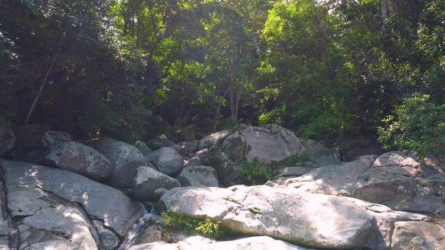 A drone flies through forest in Santa Marta, Colombia, stones and trees during the day.