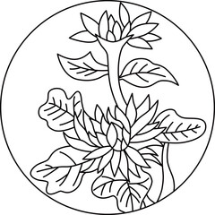 線画円形花札　長月　菊　9月　菊のカス