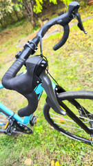 Fototapeta premium The blue bike is parked on the lawn. The bike is ready to ride. Close-up and details of the bike