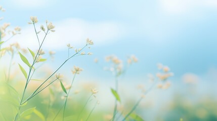 Photograph of a serene abstract blurred gradient background in nature-inspired colors, evoking a sense of harmony and balance. 