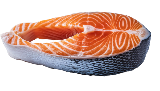 Raw salmon fillet with skin on transparent checkered background high quality image