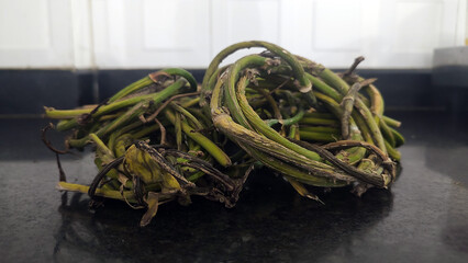 Money Plant Vine Coils After Trimming the Plant 1