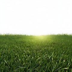 green grass field, green field 3d illustration, wallpaper