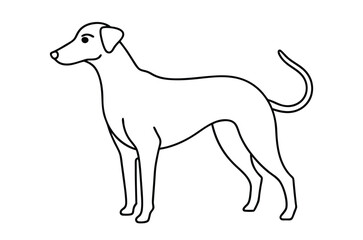 Dog Line art Drawing, continuous line drawing of dog, dogs vector