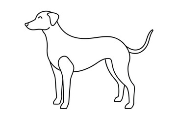 Dog Line art Drawing, continuous line drawing of dog, dogs vector
