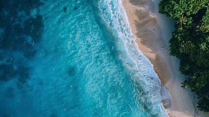 Aerial View of a Pristine Beach