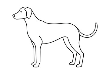 Dog Line art Drawing, continuous line drawing of dog, dogs vector