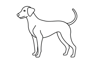 Dog Line art Drawing, continuous line drawing of dog, dogs vector