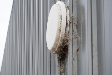 An outdoor light fixture mounted on a corrugated metal wall is surrounded by spiderwebs and dust,...